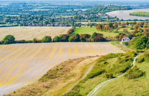 Team Building Bedfordshire'